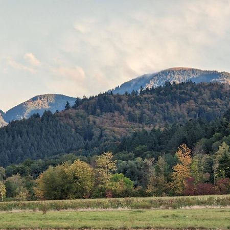Ferienwohnung Belchenblick Staufen im Breisgau Luaran gambar