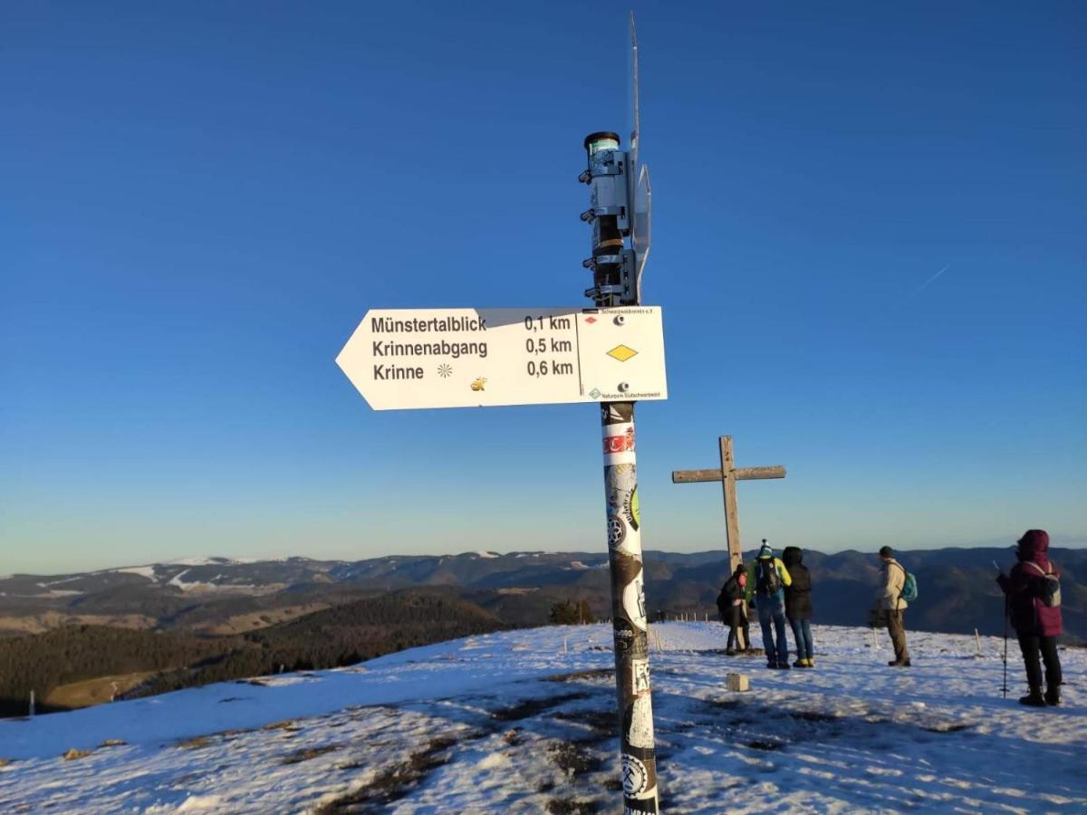Ferienwohnung Belchenblick Staufen im Breisgau Luaran gambar