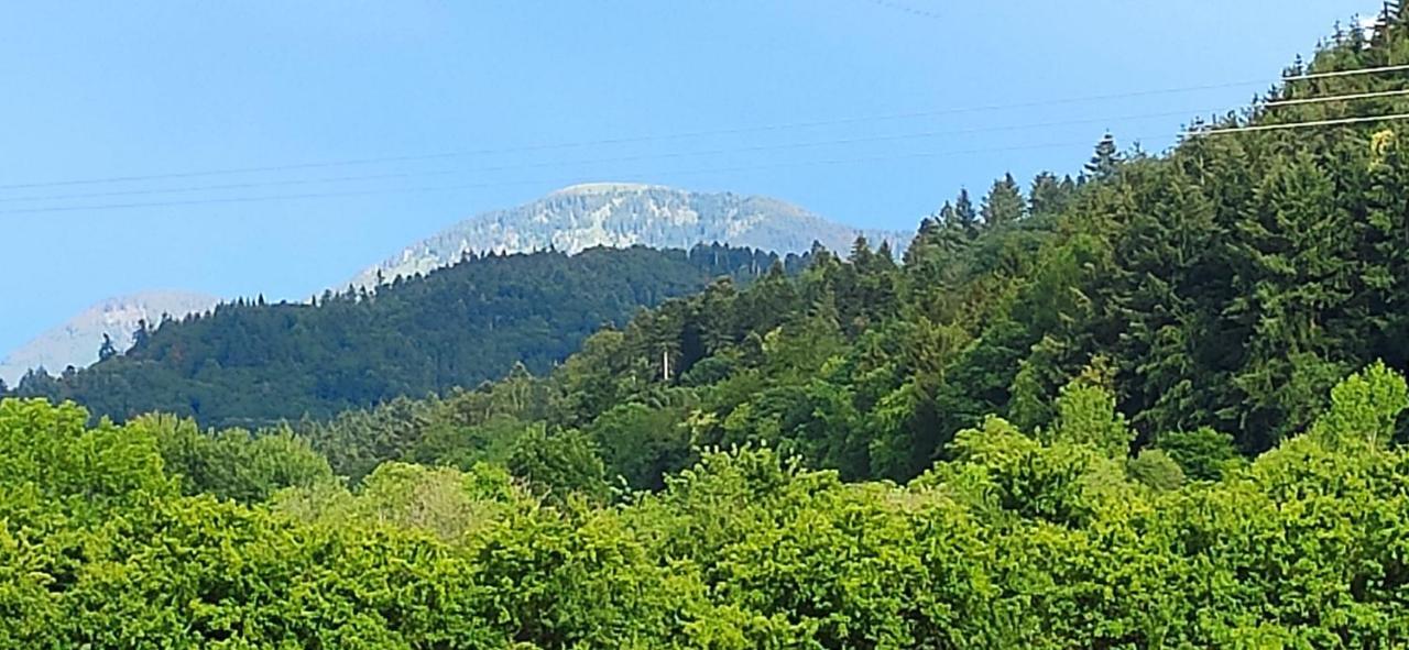 Ferienwohnung Belchenblick Staufen im Breisgau Luaran gambar