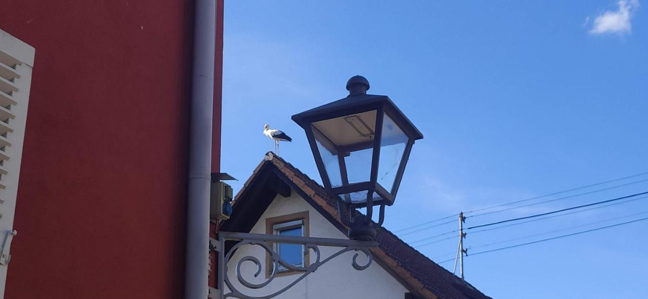 Ferienwohnung Belchenblick Staufen im Breisgau Luaran gambar