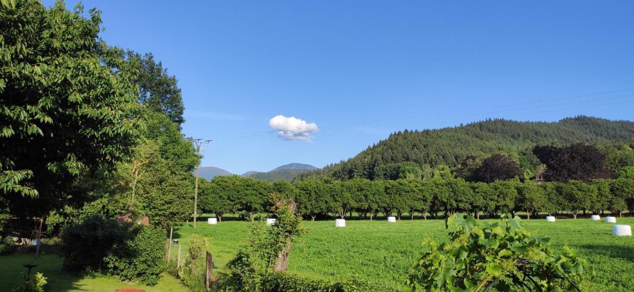 Ferienwohnung Belchenblick Staufen im Breisgau Luaran gambar