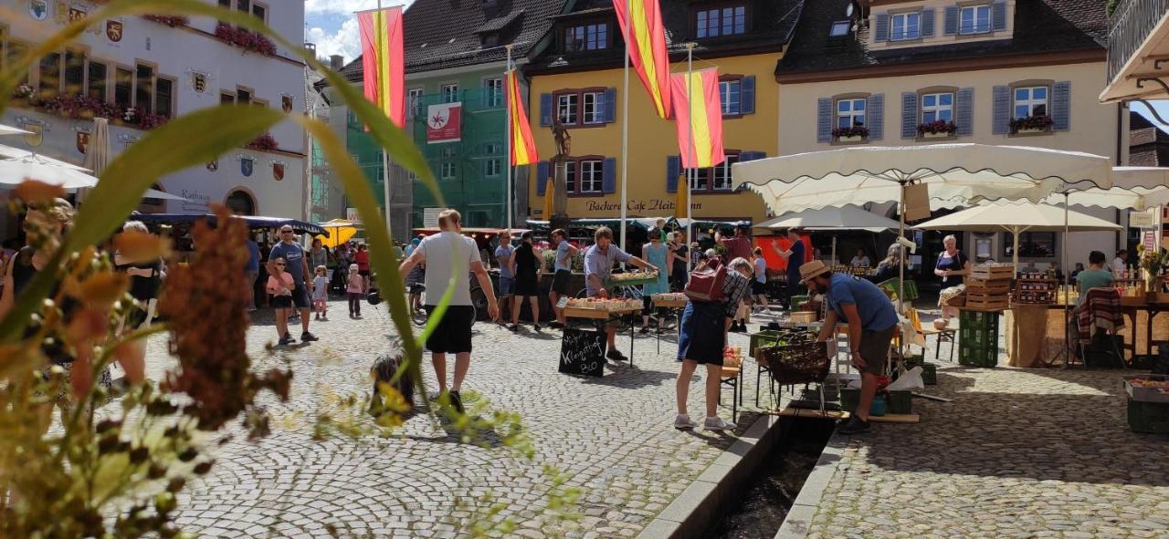 Ferienwohnung Belchenblick Staufen im Breisgau Luaran gambar