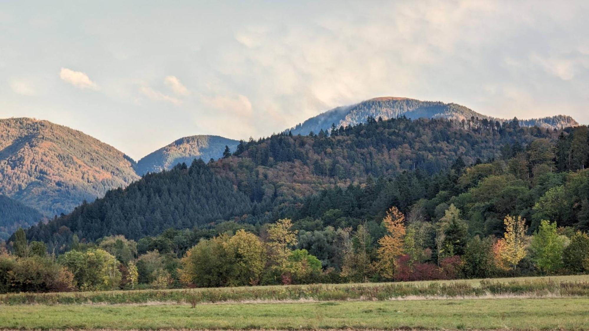Ferienwohnung Belchenblick Staufen im Breisgau Luaran gambar